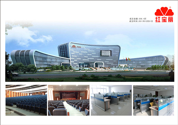 紅寶麗集團(tuán)