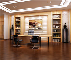 技術總監辦公室家具設計