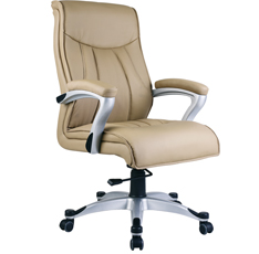 辦公椅——DY8039